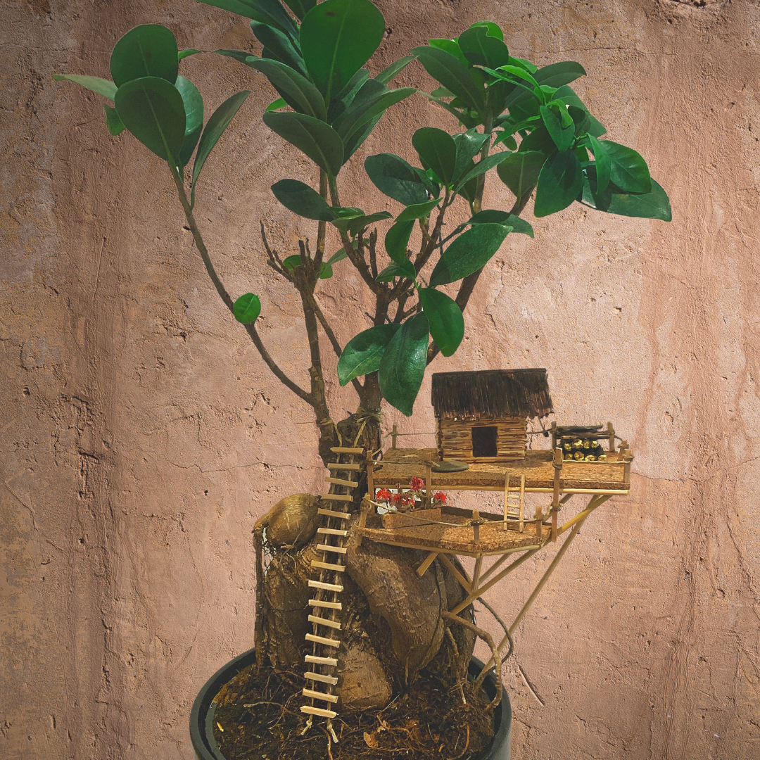 La casita del árbol