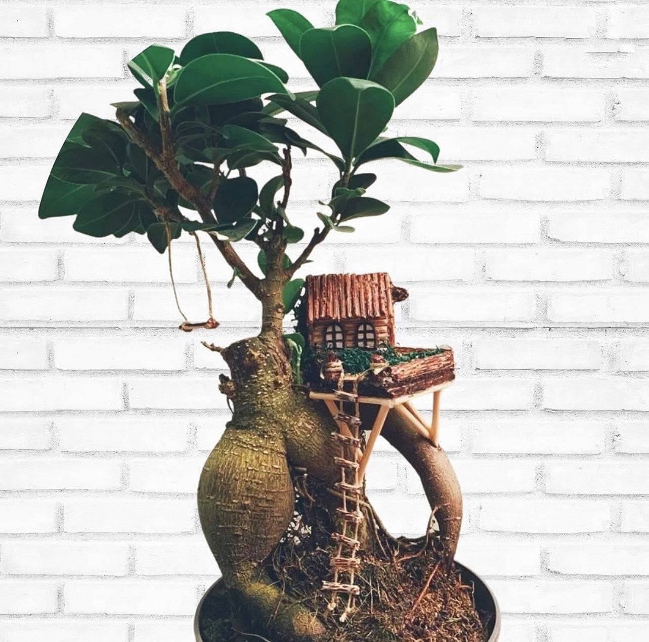 La casita del árbol