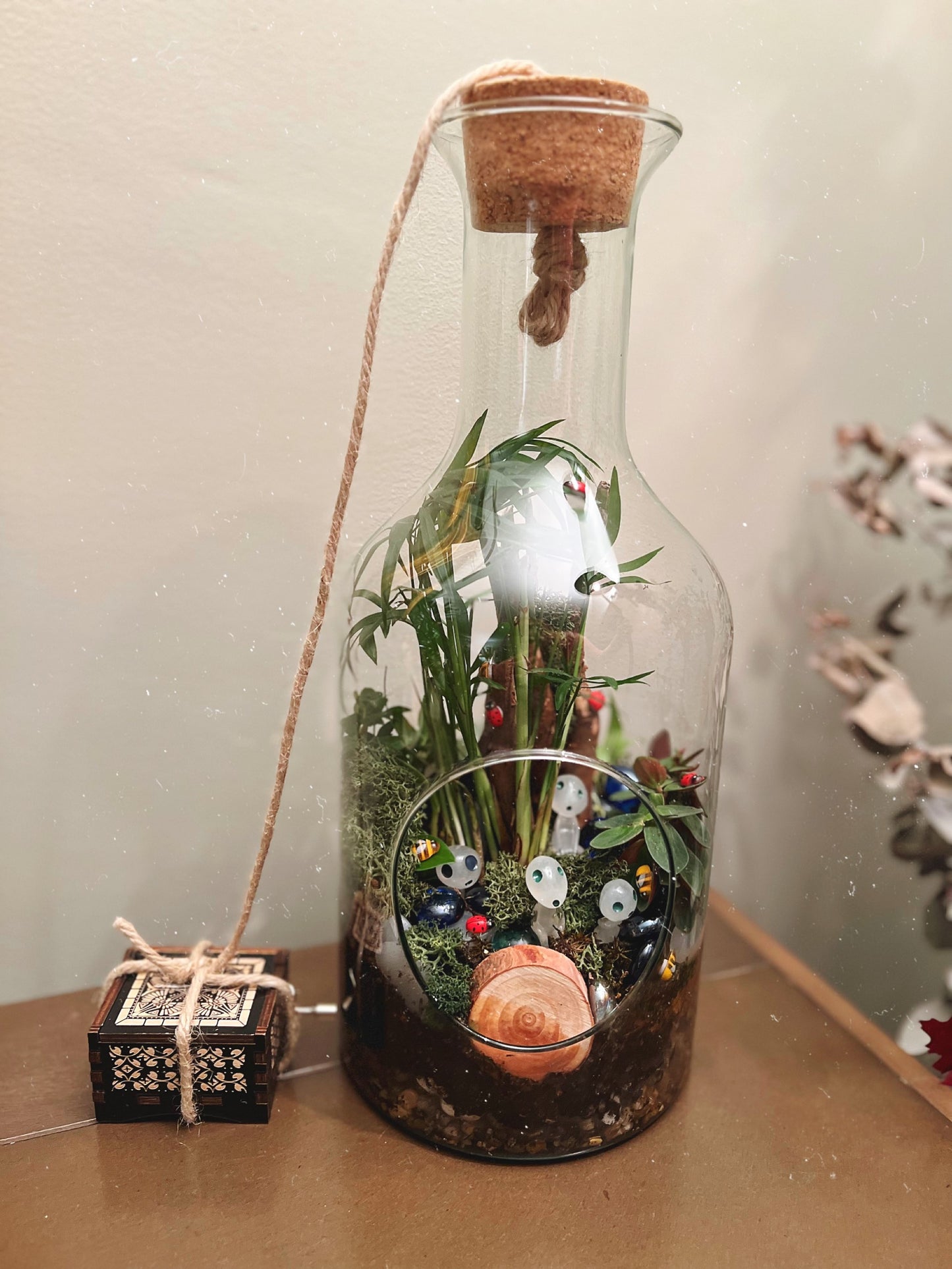 Miniflora en otros recipientes