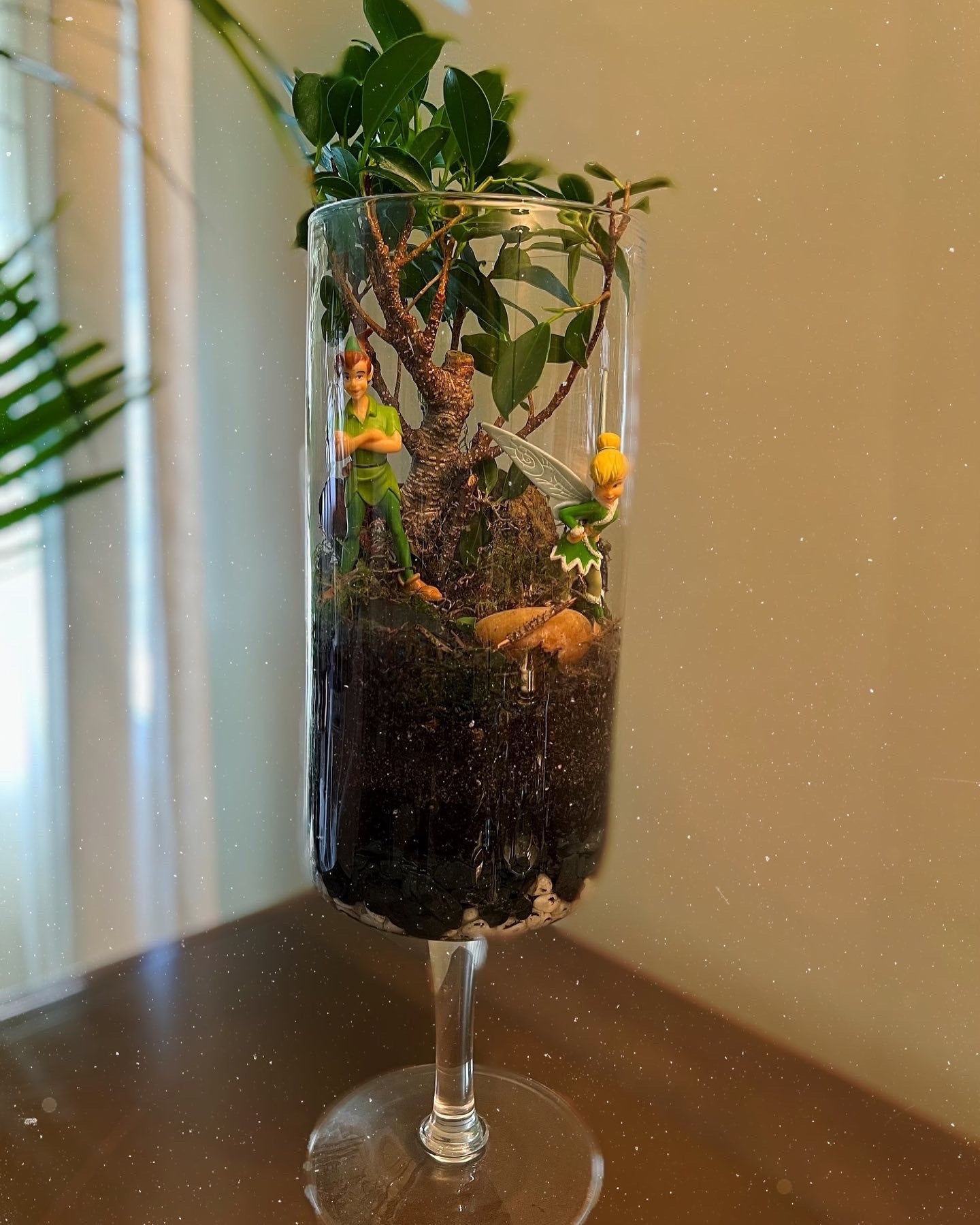 Miniflora en otros recipientes