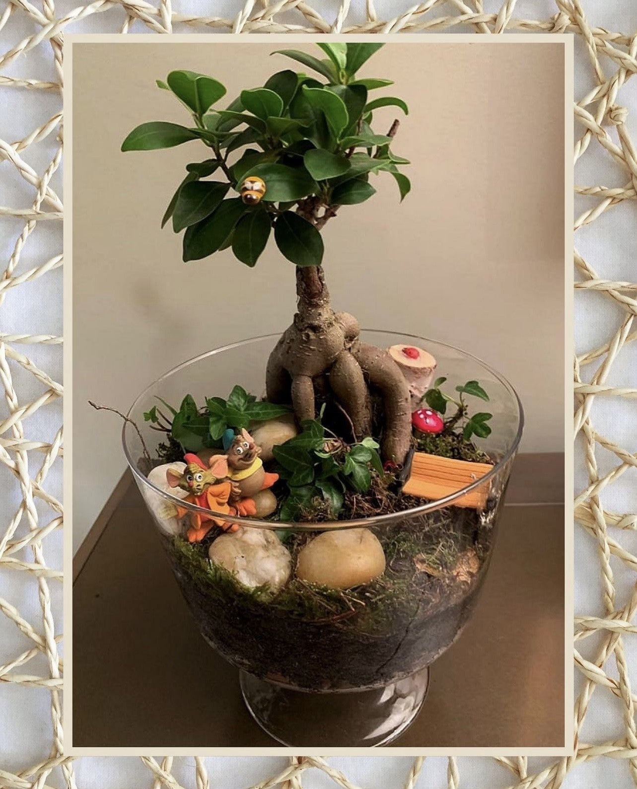 Miniflora en otros recipientes