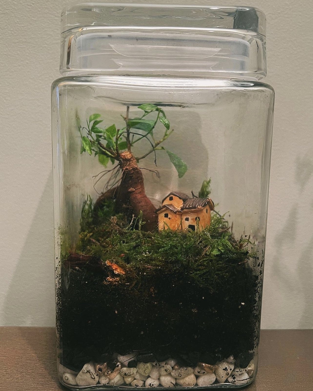 Miniflora tarros cristal