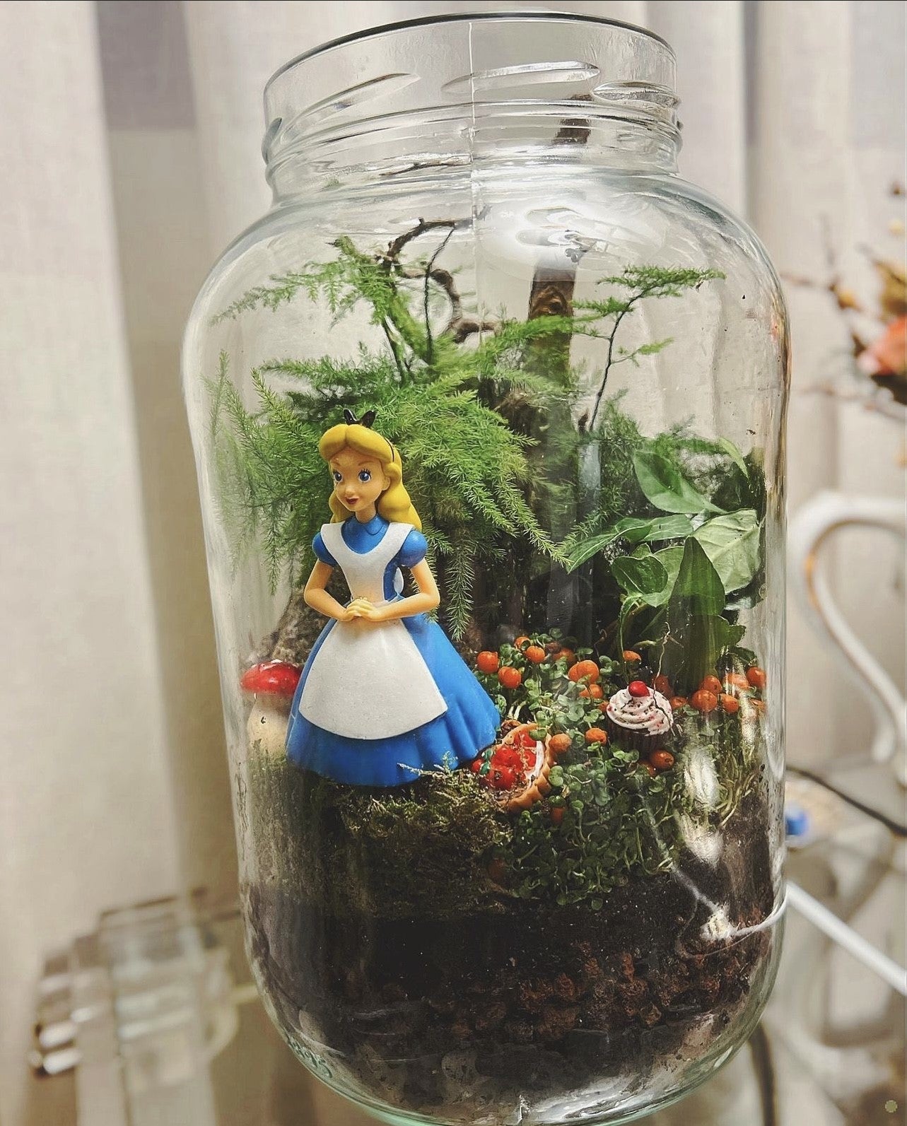 Miniflora en otros recipientes