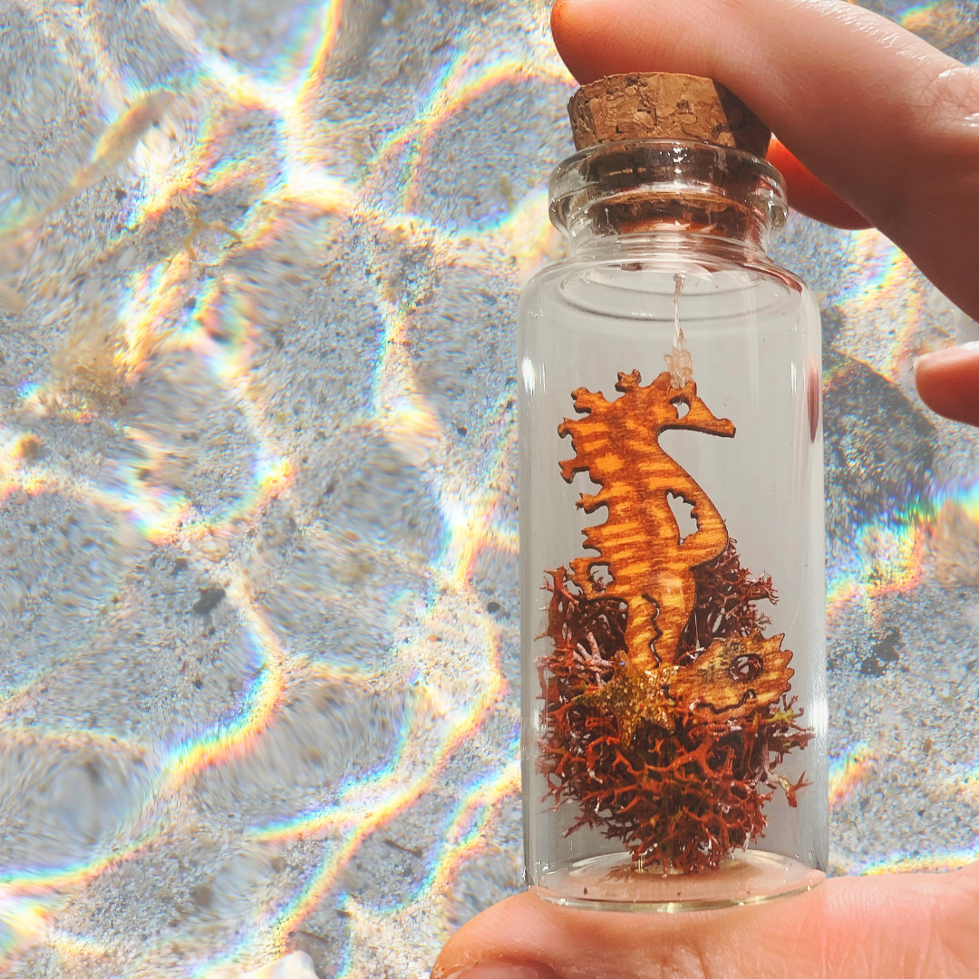 Minipichuchis fantasía