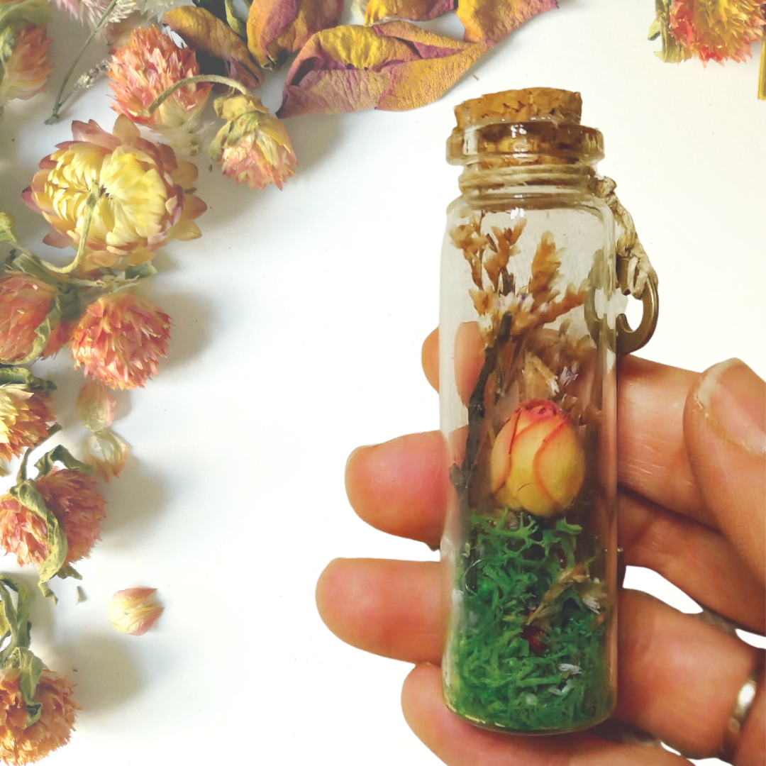 Minipichuchis fantasía