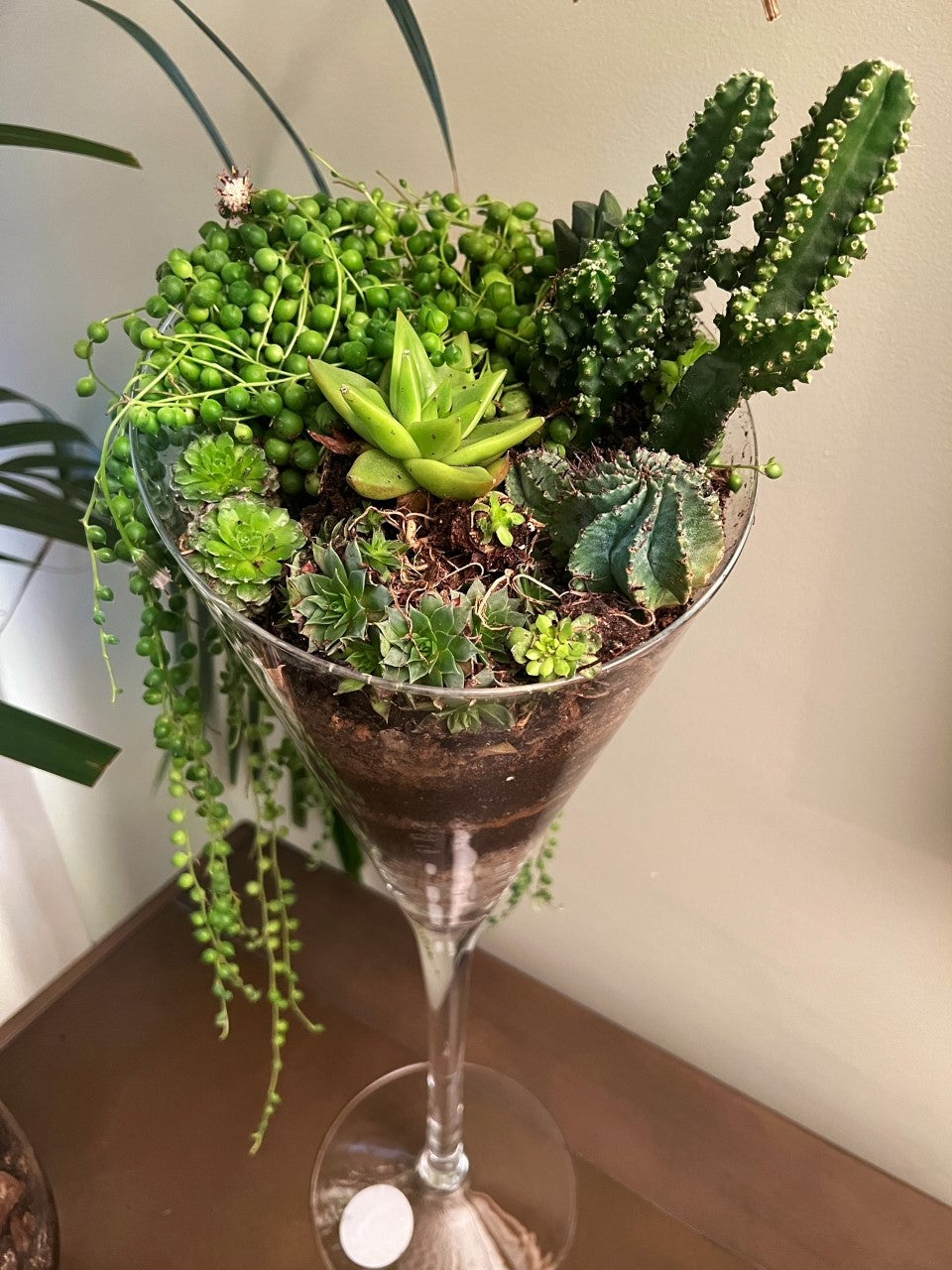 Miniflora en otros recipientes