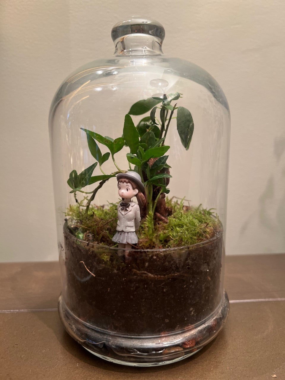 Miniflora cúpula cristal