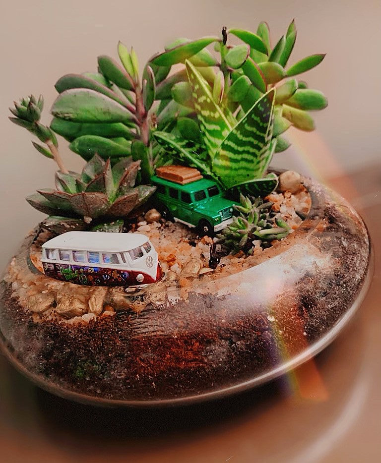 Miniflora en otros recipientes