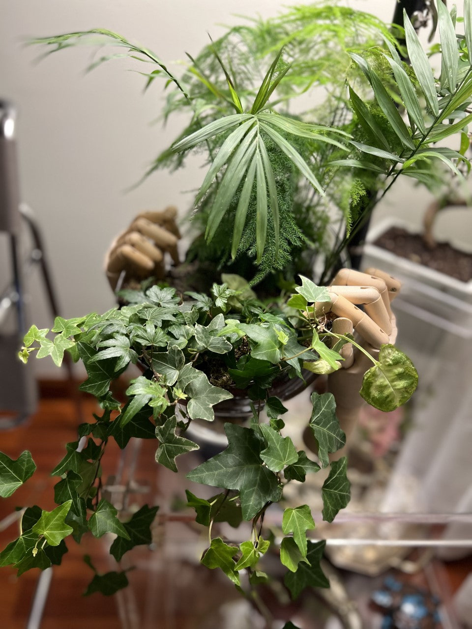 Miniflora en otros recipientes