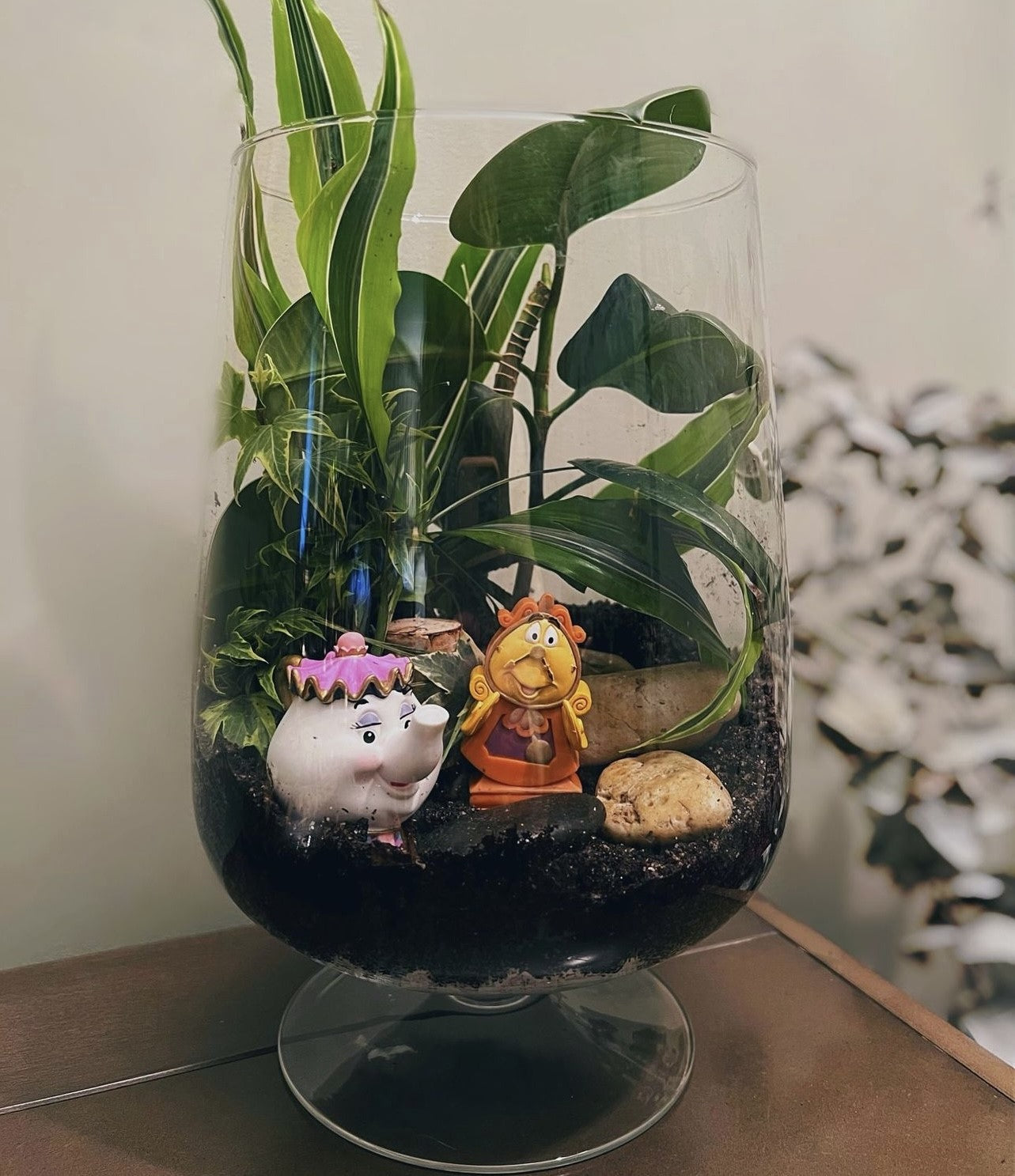 Miniflora en otros recipientes