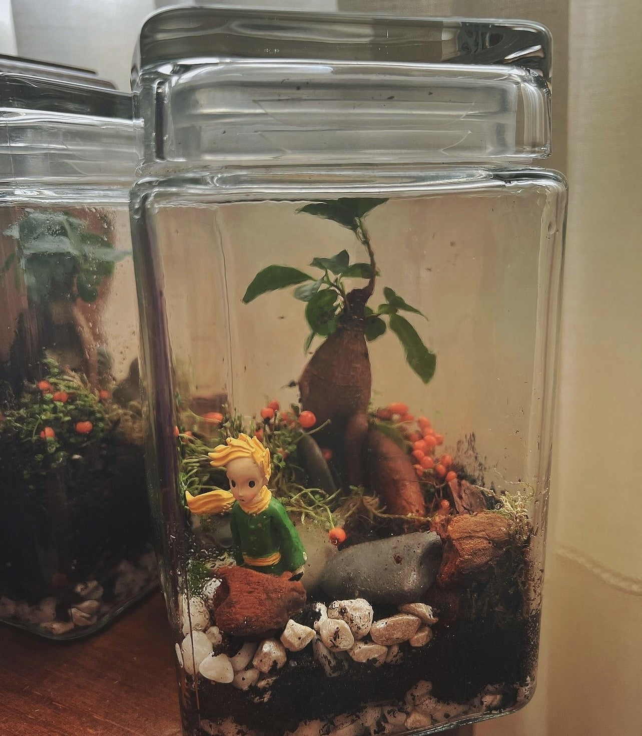 Miniflora tarros cristal