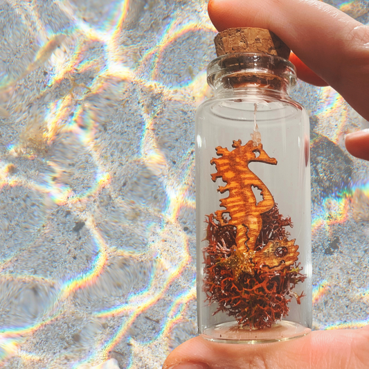 Minipichuchis fantasía