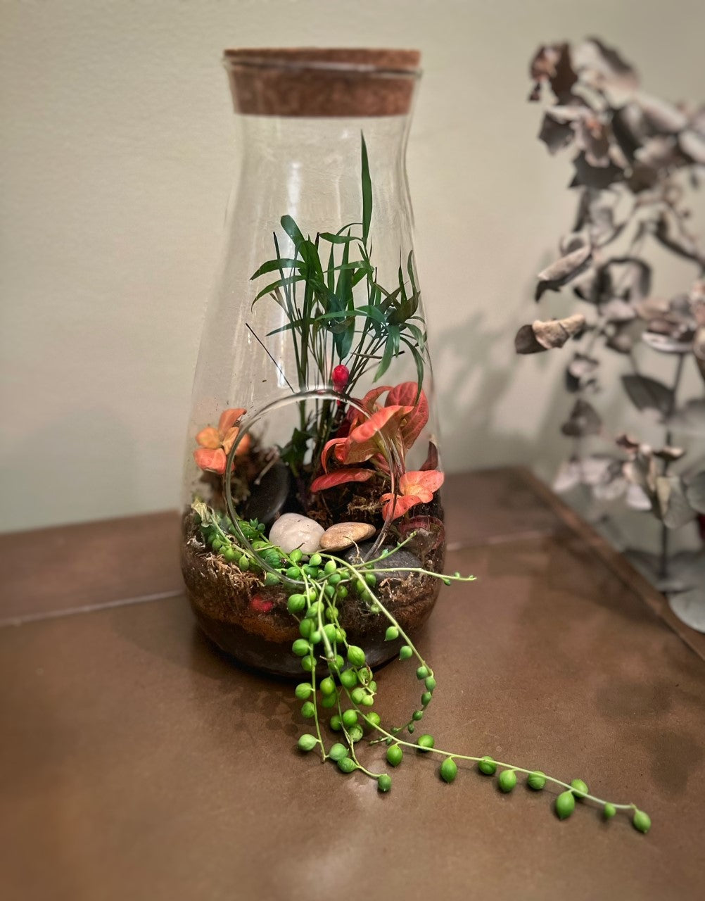 Miniflora en otros recipientes