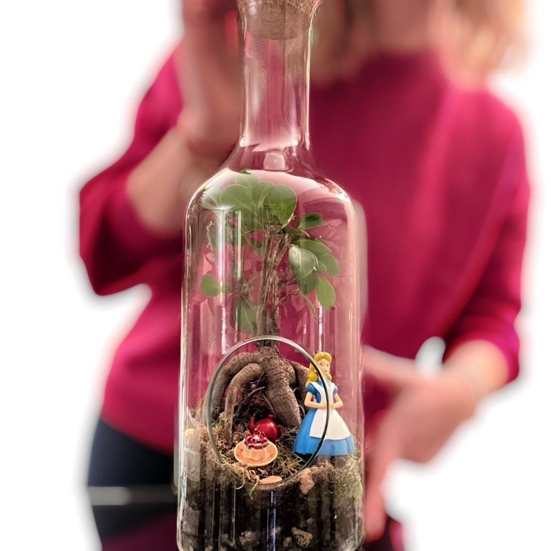 Miniflora en otros recipientes